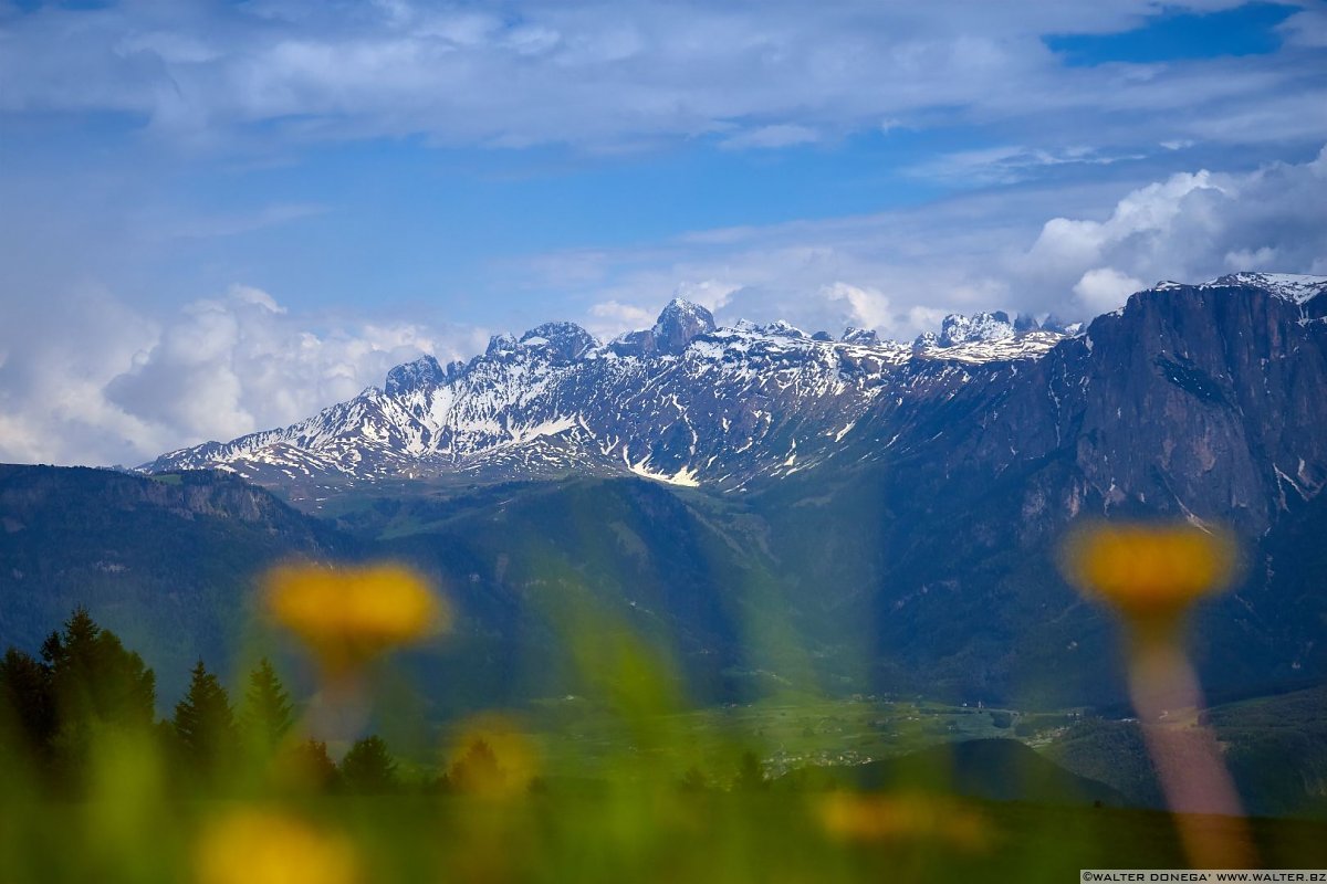 Escursione del Pino Mugo all'Alpe di Villandro