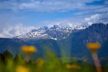 Escursione del Pino Mugo all'Alpe di Villandro