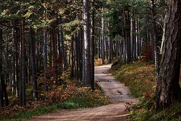 Passeggiata sull'Altopiano del Salto