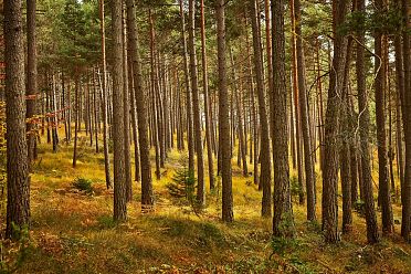 Passeggiata sull'altopiano del Salto in autunno