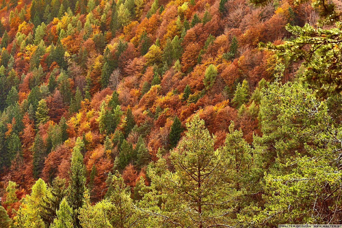  Passeggiata sull'altopiano del Salto in autunno