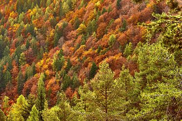 Passeggiata sull'altopiano del Salto in autunno