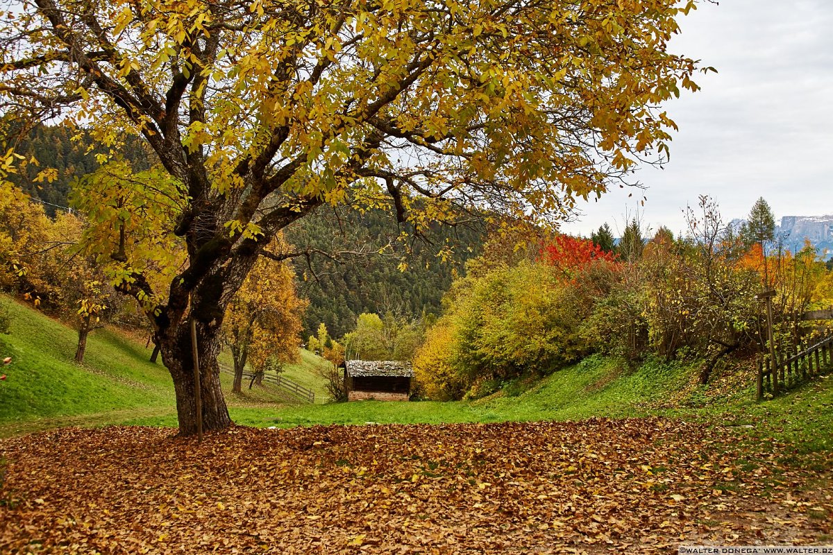  Passeggiata sull'altopiano del Salto in autunno