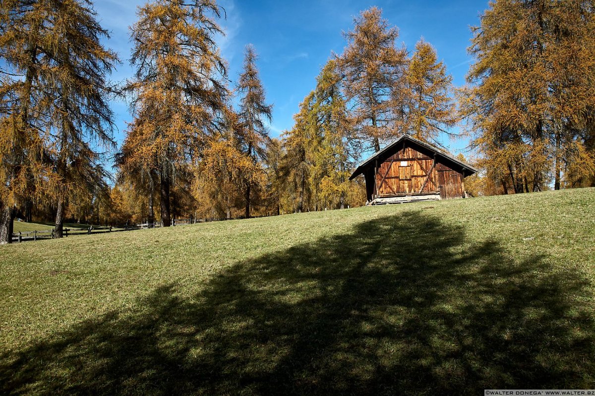  Passeggiata sull'altopiano del Salto in autunno