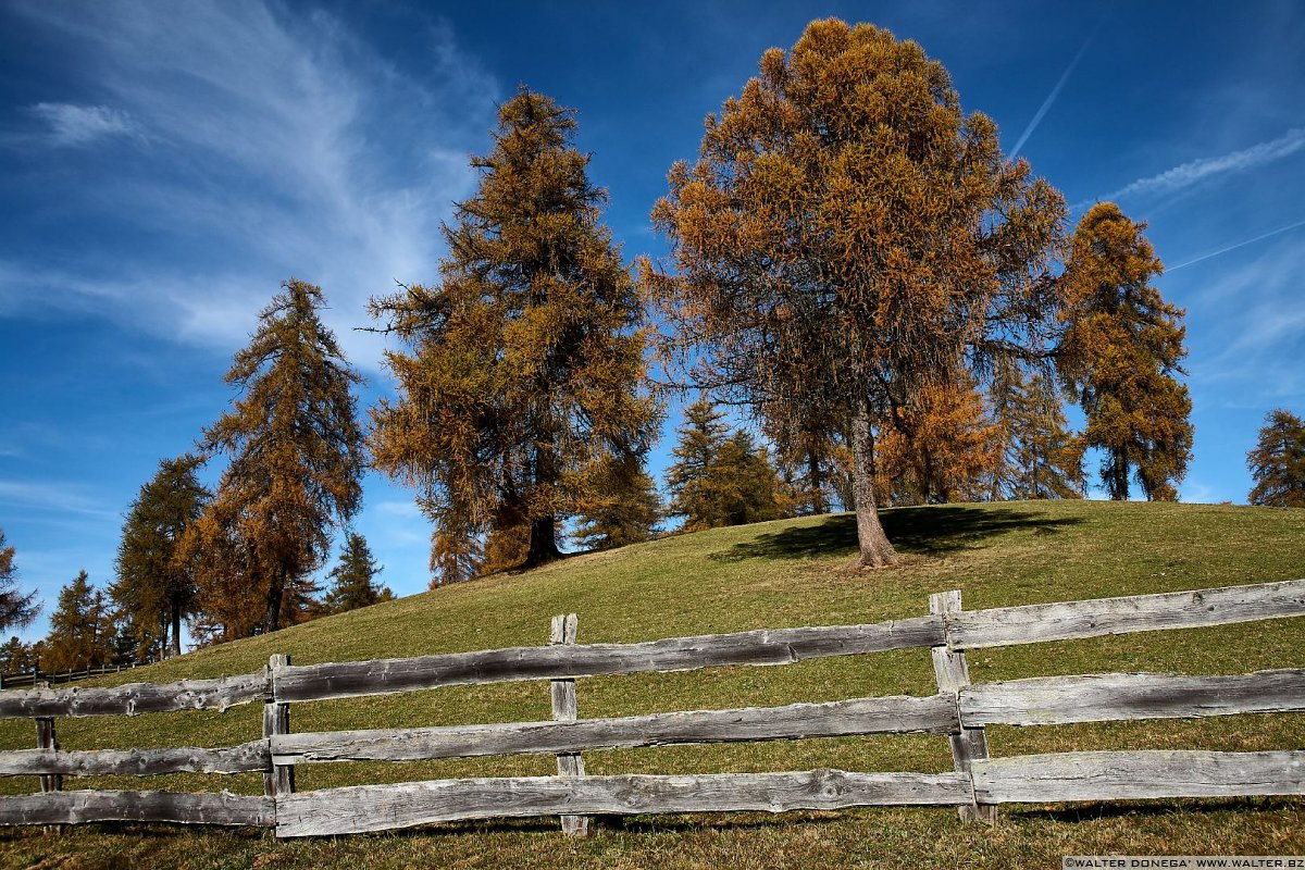  Passeggiata sull'altopiano del Salto in autunno