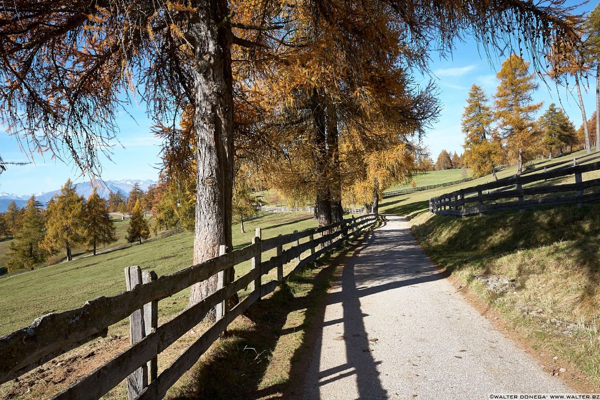  Passeggiata sull'altopiano del Salto in autunno