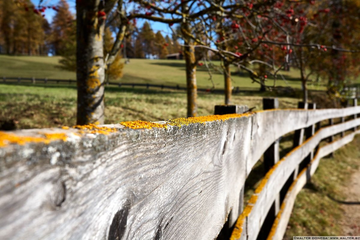  Passeggiata sull'altopiano del Salto in autunno