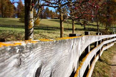 Passeggiata sull'altopiano del Salto in autunno