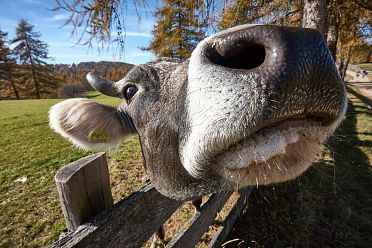 Passeggiata sull'altopiano del Salto in autunno