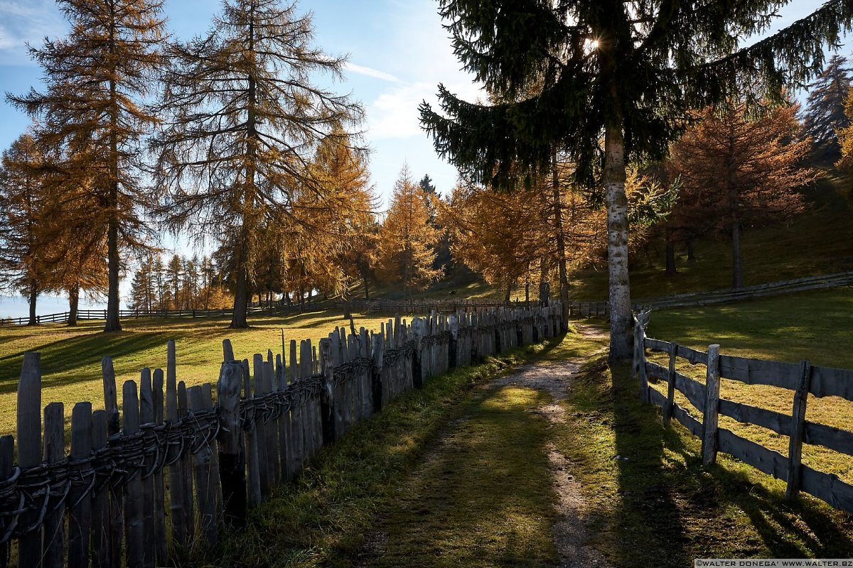  Passeggiata sull'altopiano del Salto in autunno