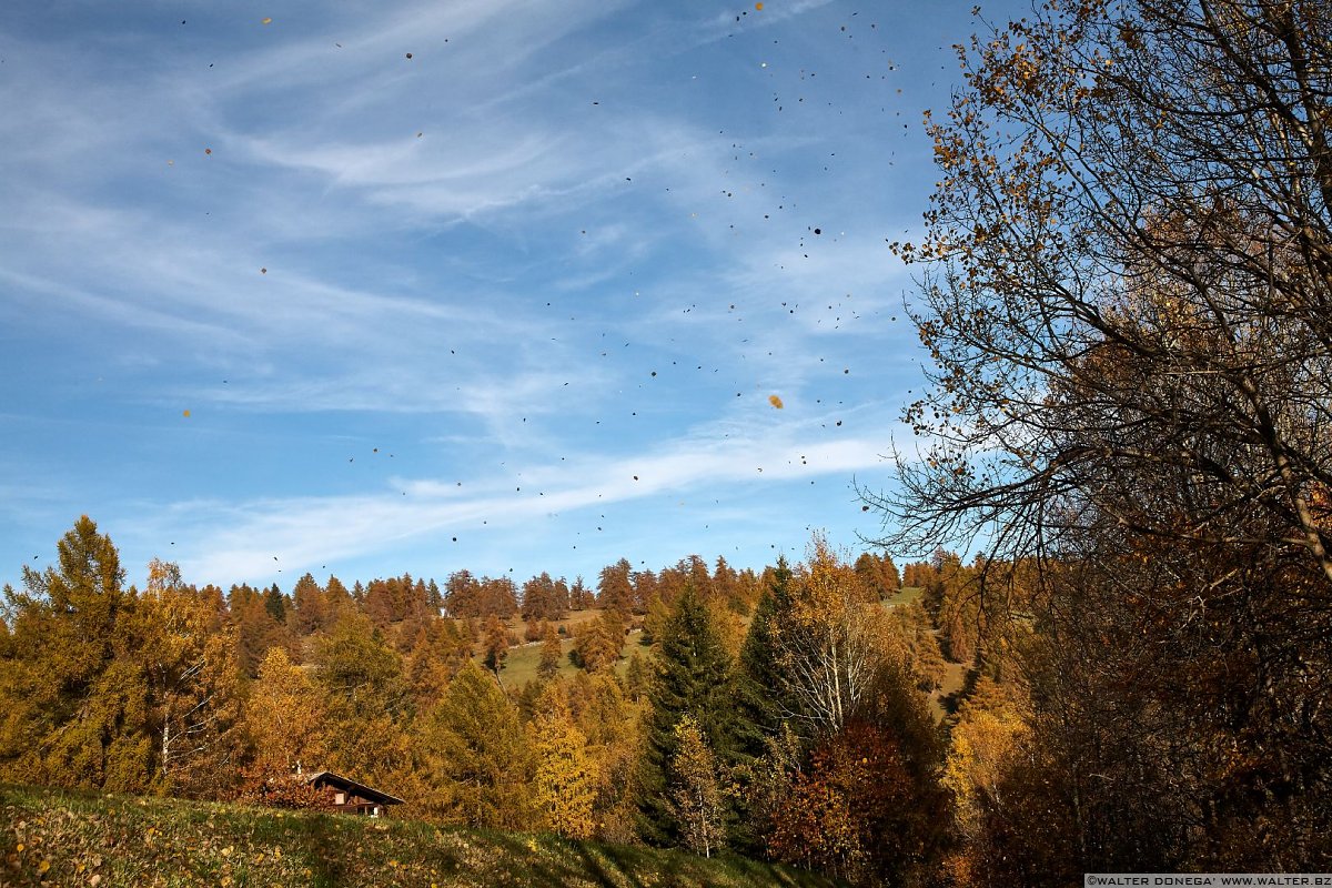  Passeggiata sull'altopiano del Salto in autunno