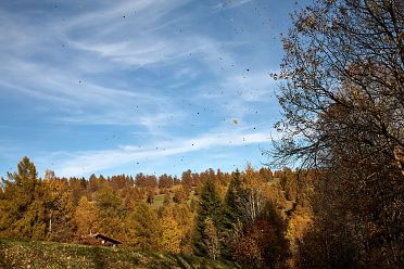 Passeggiata sull'altopiano del Salto in autunno