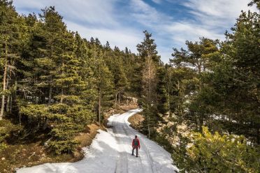 Passeggiata invernale alla Baita Saltner (Saltnerhütte) sul Renon