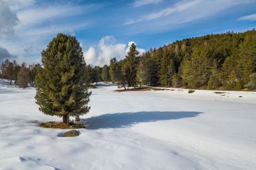 Passeggiata invernale alla Baita Saltner (Saltnerhütte) sul Renon