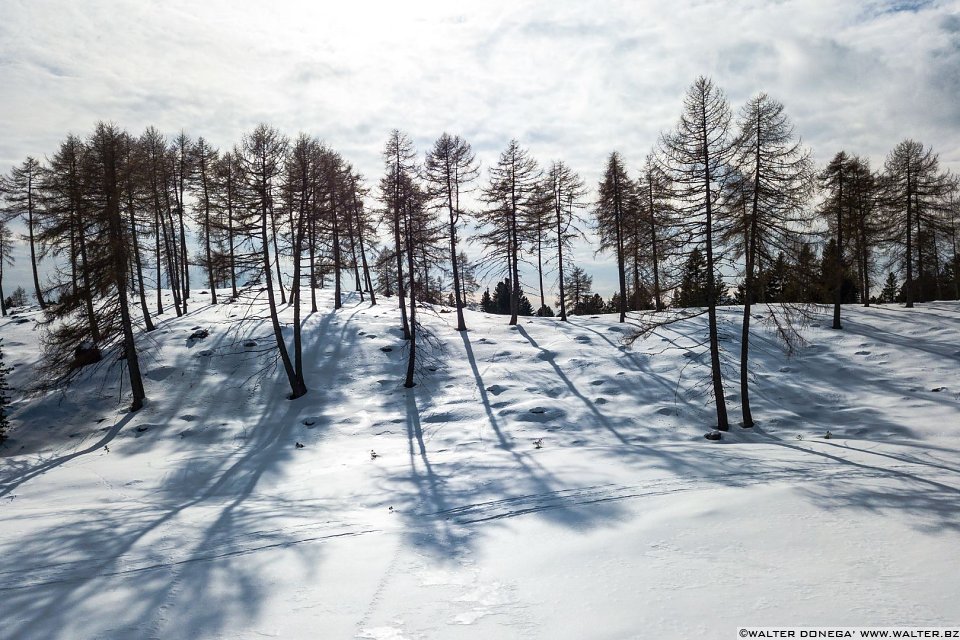 Passeggiata invernale alla Baita Saltner (Saltnerhütte) sul Renon