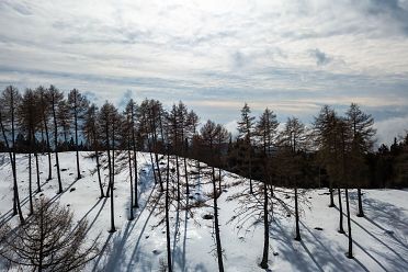 Passeggiata invernale alla Baita Saltner (Saltnerhütte) sul Renon