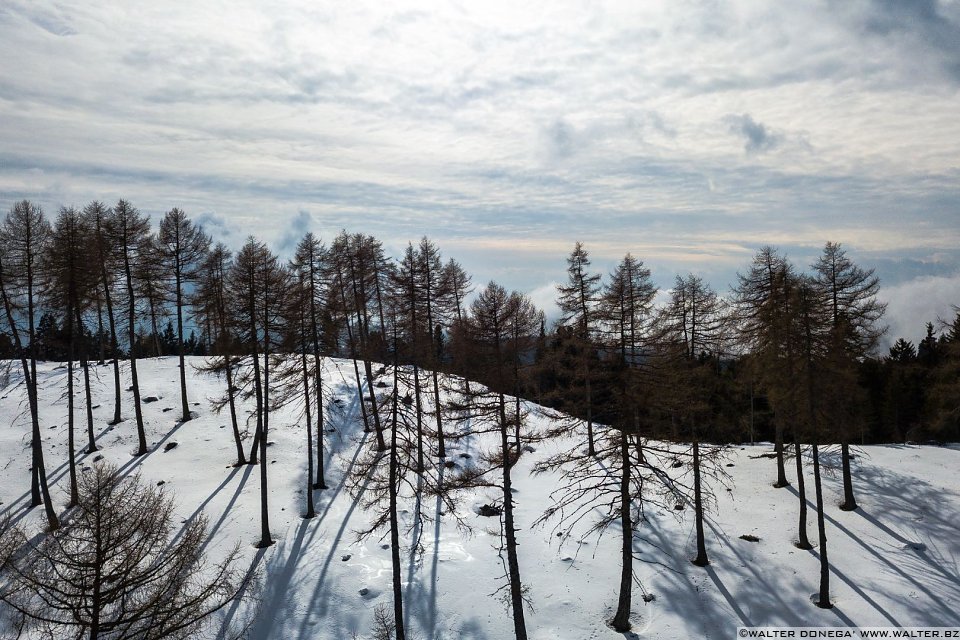 Passeggiata invernale alla Baita Saltner (Saltnerhütte) sul Renon