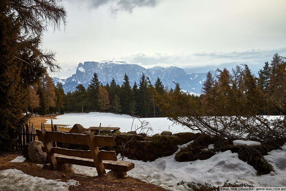 Passeggiata invernale alla Baita Saltner (Saltnerhütte) sul Renon