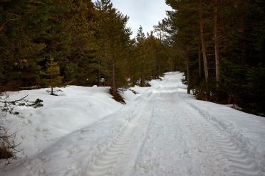 Passeggiata invernale alla Baita Saltner (Saltnerhütte) sul Renon