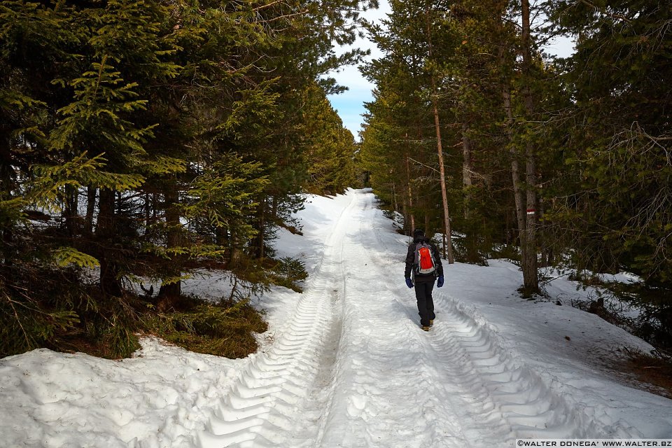 Passeggiata invernale alla Baita Saltner (Saltnerhütte) sul Renon