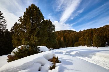 Passeggiata invernale alla Baita Saltner (Saltnerhütte) sul Renon