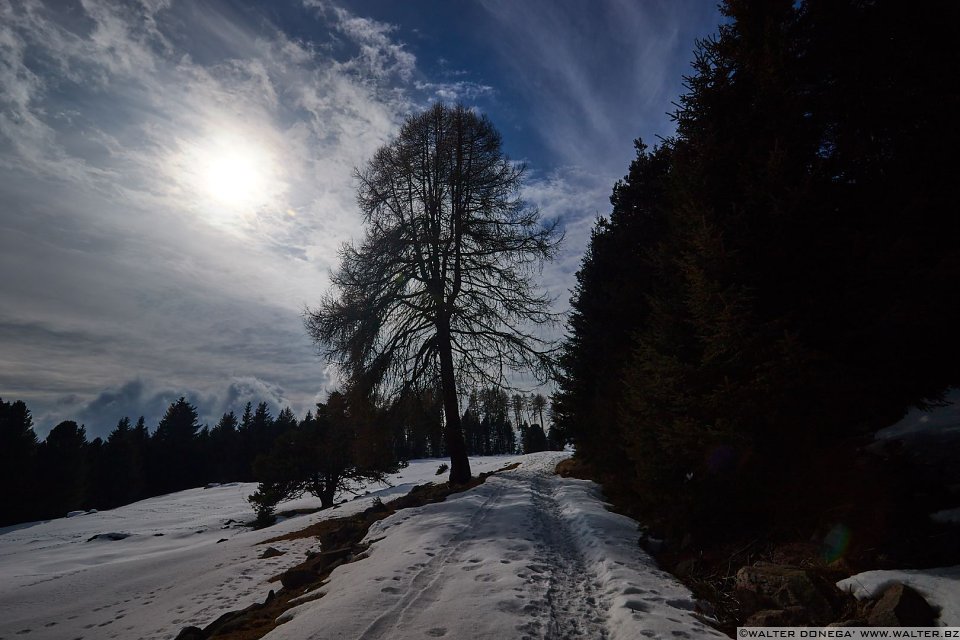 Passeggiata invernale alla Baita Saltner (Saltnerhütte) sul Renon