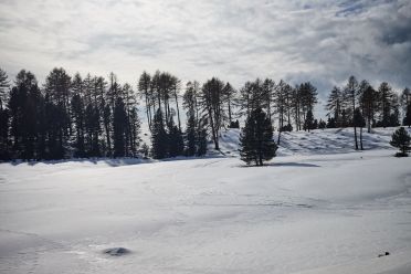 Passeggiata invernale alla Baita Saltner (Saltnerhütte) sul Renon