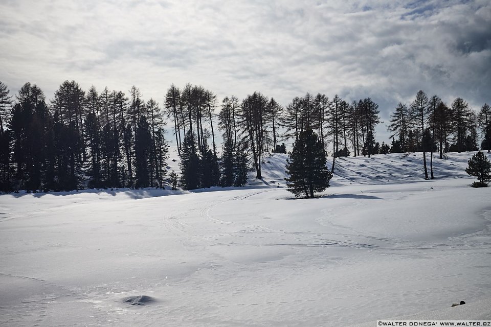 Passeggiata invernale alla Baita Saltner (Saltnerhütte) sul Renon