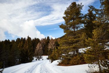 Passeggiata invernale alla Baita Saltner (Saltnerhütte) sul Renon