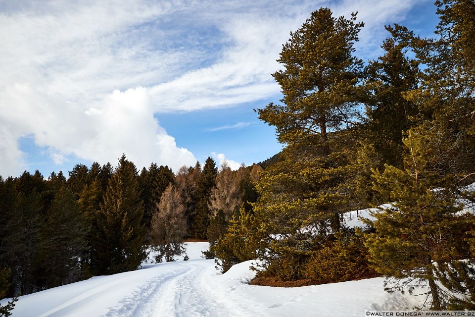  Passeggiata invernale alla Baita Saltner (Saltnerhütte) sul Renon