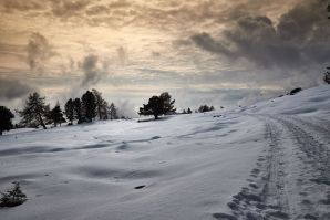 Passeggiata invernale alla Baita Saltner (Saltnerhütte) sul Renon