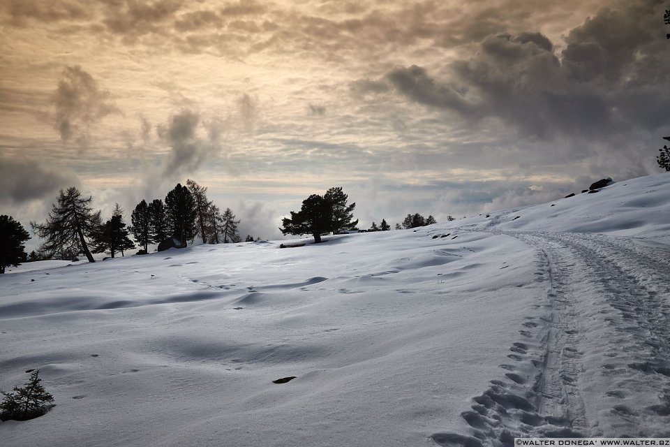Passeggiata invernale alla Baita Saltner (Saltnerhütte) sul Renon