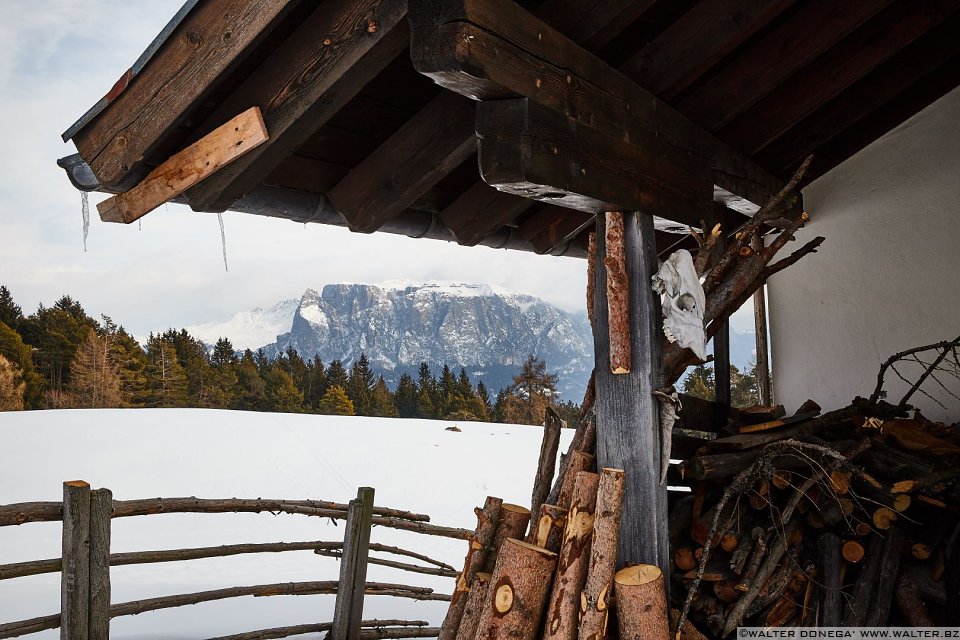 Passeggiata invernale alla Baita Saltner (Saltnerhütte) sul Renon