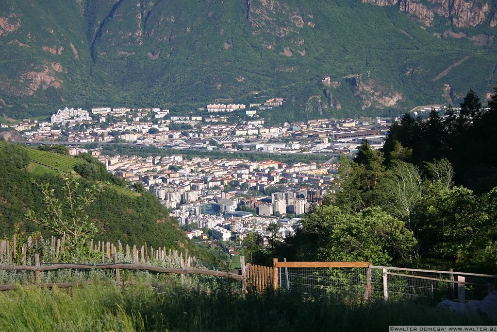 Viste di Bolzano - 5 Bolzano vista dall'alto