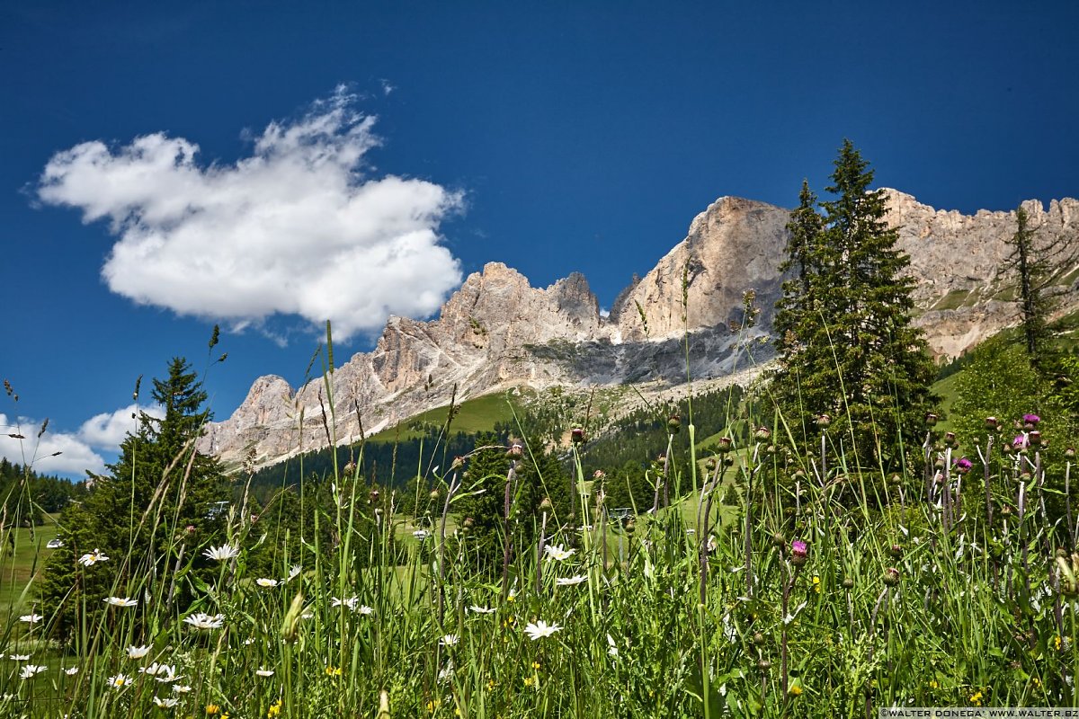 Rosengarten Catinaccio - Roda di Vaèl Roda del Diavolo e Cresta del Masarè Carezza e Passo Costalunga