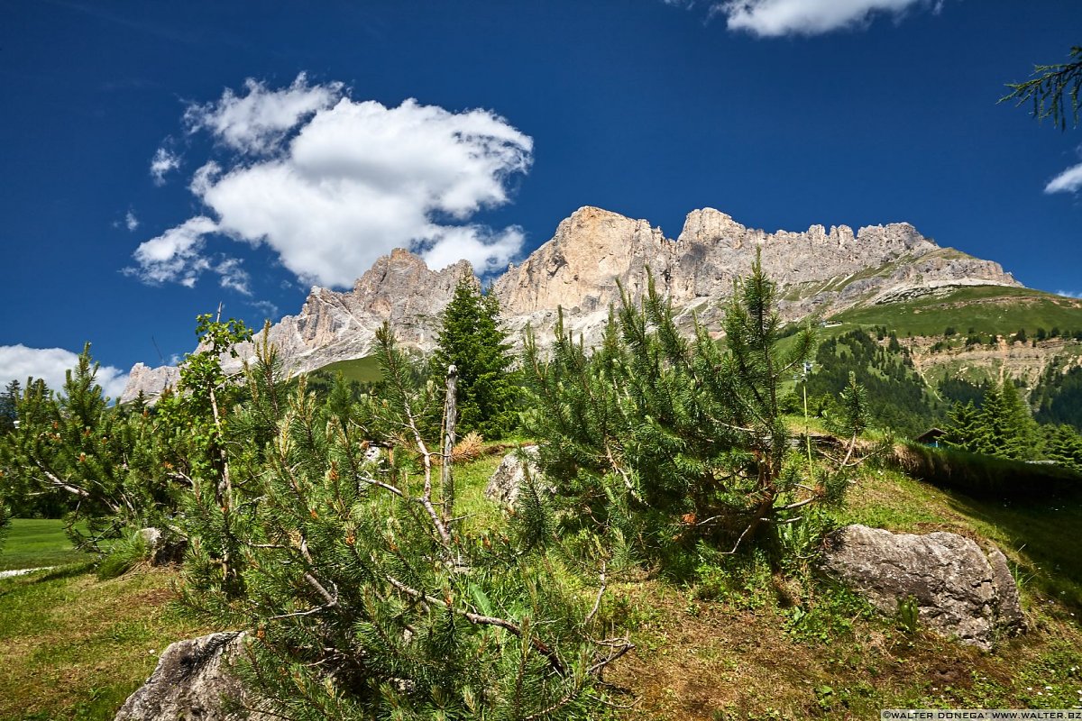 Rosengarten Catinaccio - Roda di Vaèl Roda del Diavolo e Cresta del Masarè Carezza e Passo Costalunga