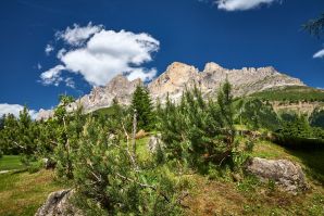 Carezza e Passo Costalunga