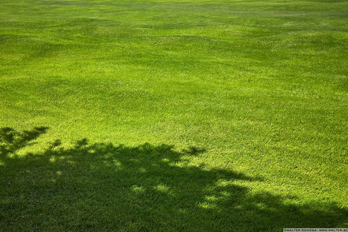 IL "GREEN" Carezza e Passo Costalunga