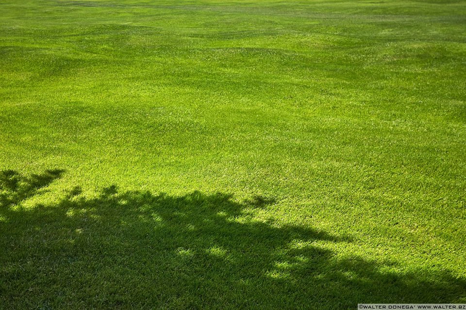 IL "GREEN" Carezza e Passo Costalunga