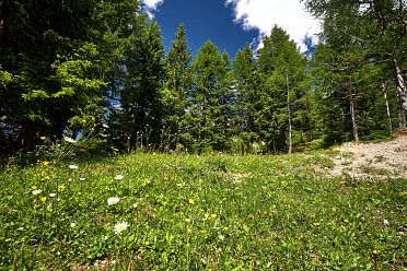 Carezza e Passo Costalunga