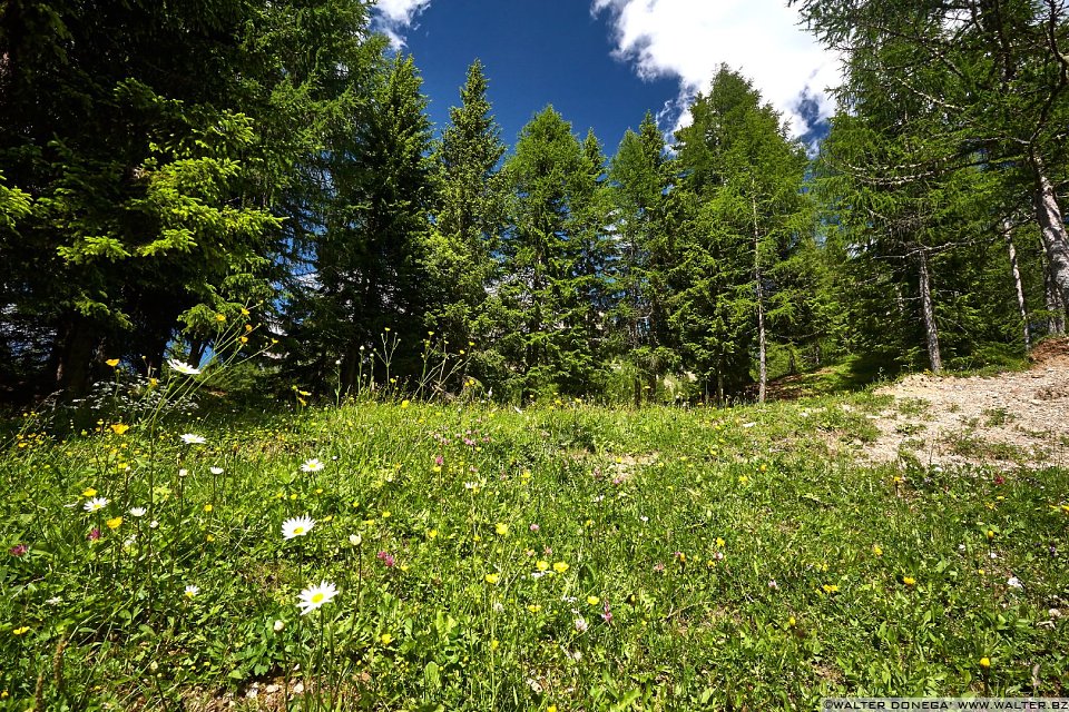 Carezza e Passo Costalunga