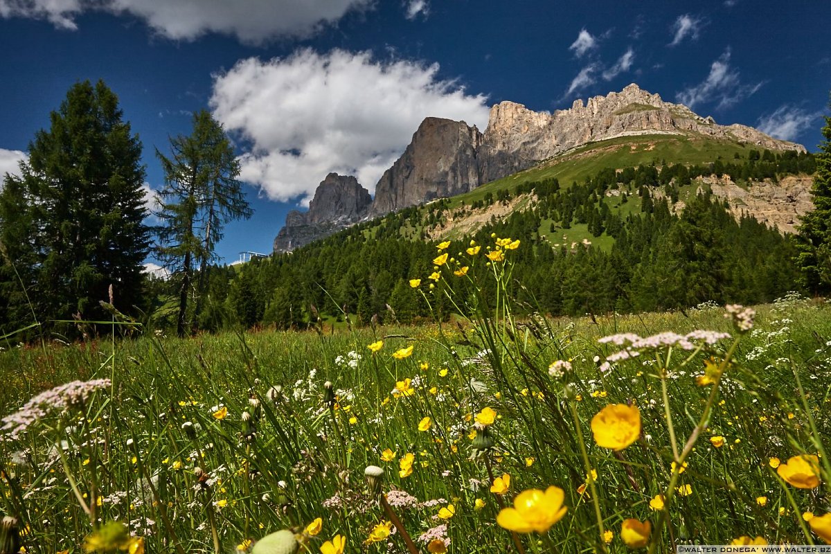 Rosengarten Catinaccio - Roda di Vaèl Roda del Diavolo e Cresta del Masarè Carezza e Passo Costalunga