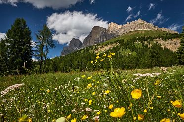 Carezza e Passo Costalunga