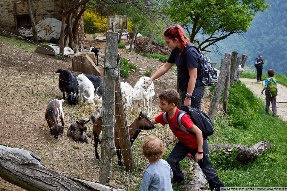 Nella fattoria Escursione alle cascate di Barbiano