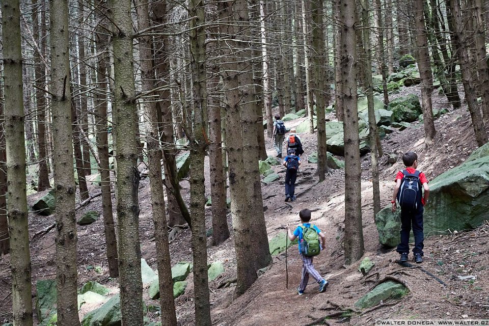 Dentro il fitto bosco Escursione alle cascate di Barbiano