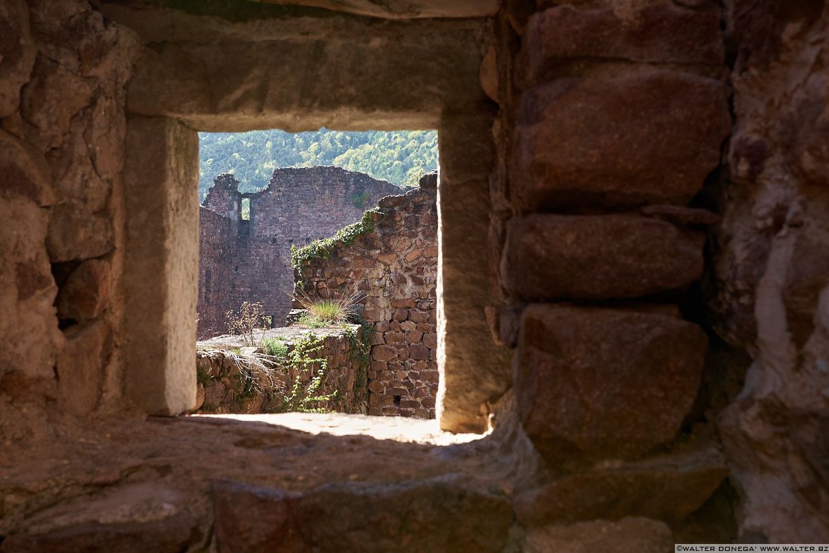 Castel Boymont La via dei castelli di Appiano - Castel Boymont e Castel Hocheppan