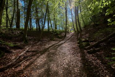 La via dei castelli di Appiano - Castel Boymont e Castel Hocheppan