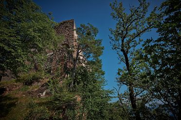 Castel Greifenstein