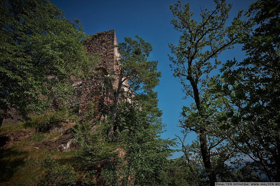 01 Castel Greifenstein