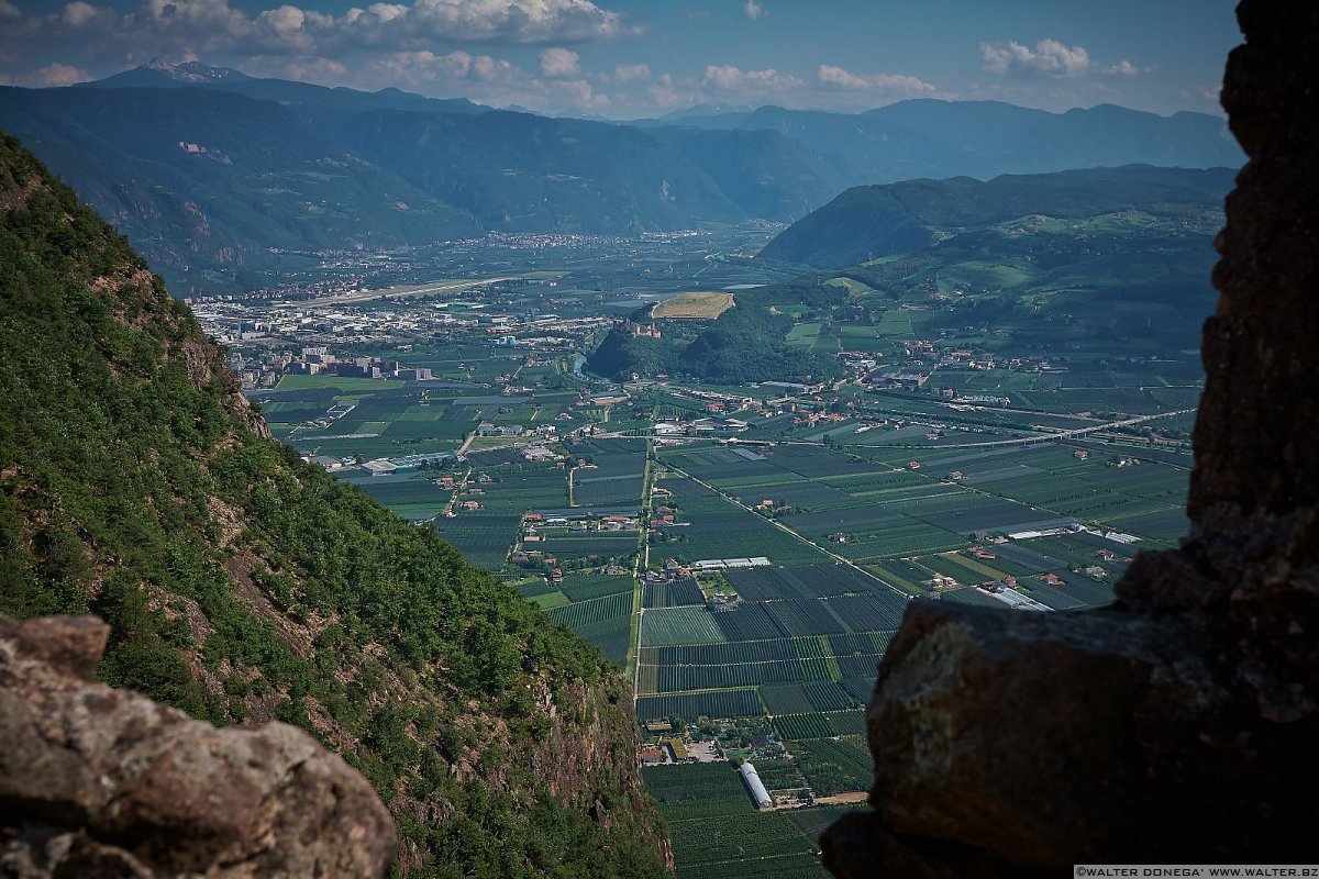 10 Castel Greifenstein